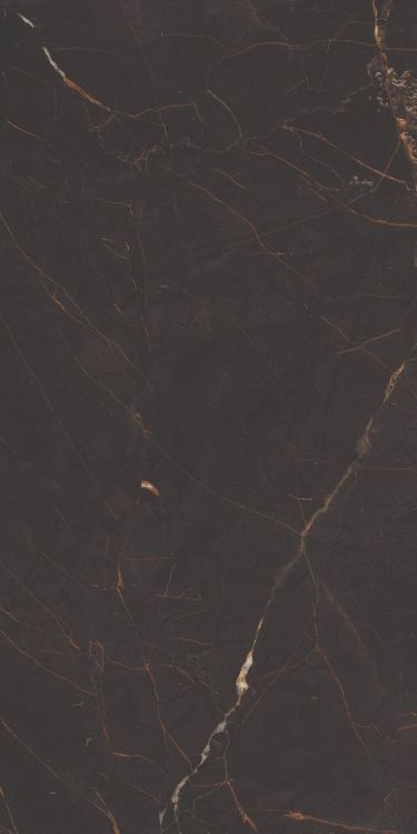 Galaxia Black Levigato (R/L) 12 x 24
